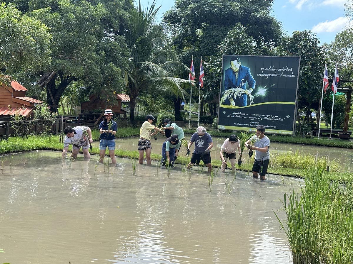 TPA One Day Trip in Ayutthaya